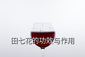 田七花的功效與作用
