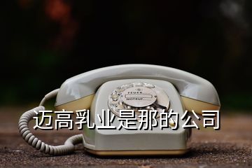邁高乳業(yè)是那的公司