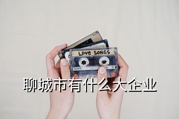 聊城市有什么大企業(yè)