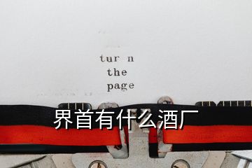 界首有什么酒廠