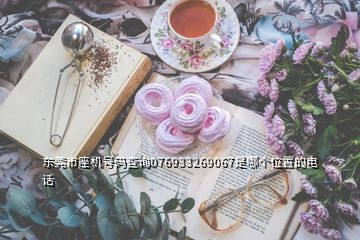 東莞市座機(jī)號(hào)碼查詢(xún)076933269067是哪個(gè)位置的電話