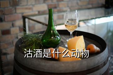 沽酒是什么動物