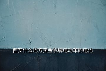 西安什么地方賣金帆牌電動車的電池