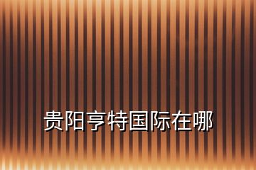 貴陽亨特國際在哪
