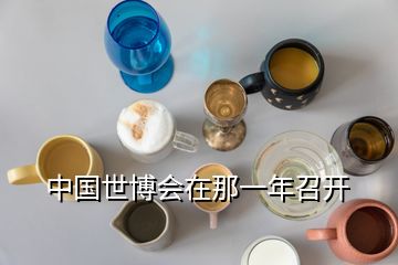 中國(guó)世博會(huì)在那一年召開(kāi)