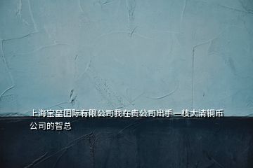 上海寶至國際有限公司我在貴公司出手一枝大清銅幣公司的智總
