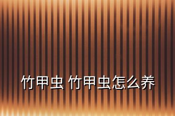 竹甲蟲(chóng) 竹甲蟲(chóng)怎么養(yǎng)