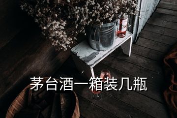 茅臺酒一箱裝幾瓶