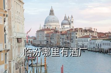 臨汾哪里有酒廠