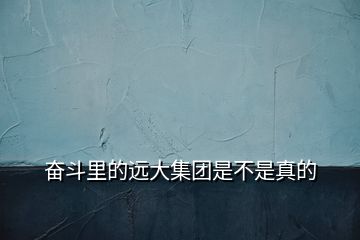 奮斗里的遠大集團是不是真的