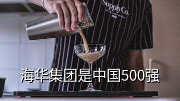 海華集團是中國500強
