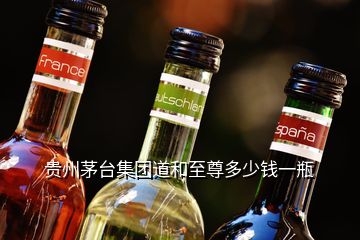 貴州茅臺集團道和至尊多少錢一瓶