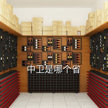 中衛(wèi)是哪個省