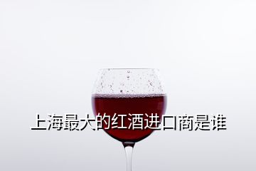 上海最大的紅酒進(jìn)口商是誰
