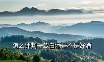 怎么評判一款白酒是不是好酒