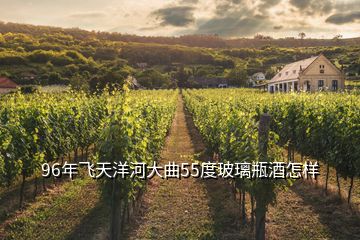 96年飛天洋河大曲55度玻璃瓶酒怎樣