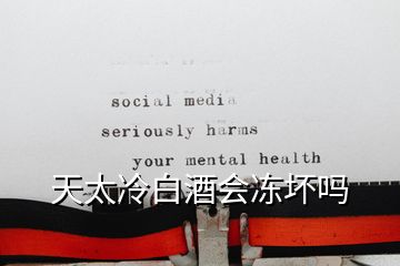天太冷白酒會凍壞嗎