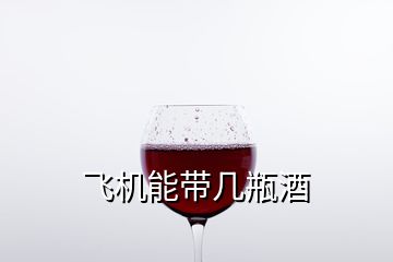 飛機能帶幾瓶酒