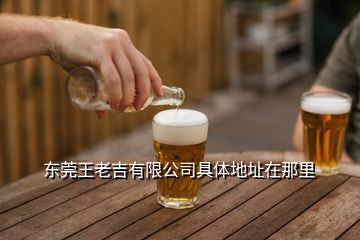 東莞王老吉有限公司具體地址在那里