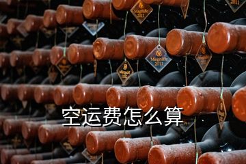 空運(yùn)費(fèi)怎么算