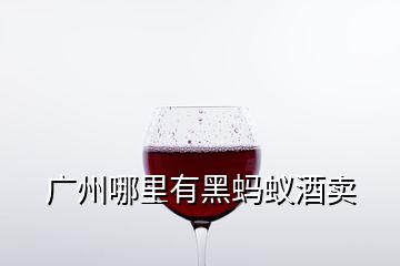 廣州哪里有黑螞蟻酒賣(mài)