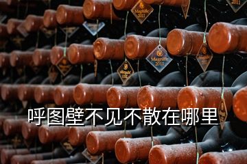 呼圖壁不見(jiàn)不散在哪里