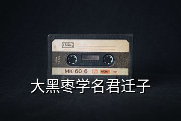 大黑棗學(xué)名君遷子