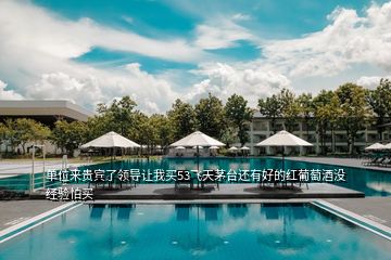 單位來(lái)貴賓了領(lǐng)導(dǎo)讓我買(mǎi)53飛天茅臺(tái)還有好的紅葡萄酒沒(méi)經(jīng)驗(yàn)怕買(mǎi)