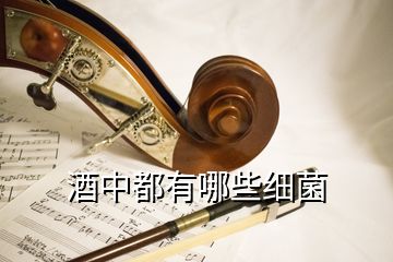 酒中都有哪些細菌