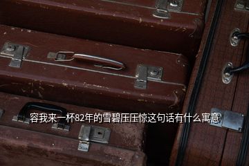 容我來(lái)一杯82年的雪碧壓壓驚這句話(huà)有什么寓意