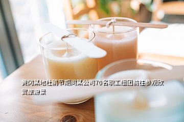 黃岡某地杜鵑節(jié)期間某公司70名職工組團前往參觀欣賞旅游景