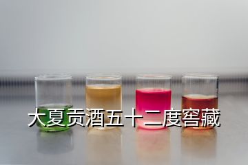 大夏貢酒五十二度窖藏