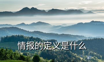情報(bào)的定義是什么