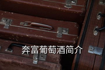 奔富葡萄酒簡(jiǎn)介