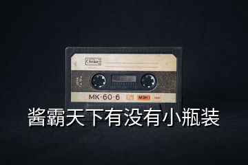 醬霸天下有沒有小瓶裝