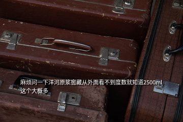 麻煩問(wèn)一下洋河原漿窖藏從外面看不到度數(shù)就知道2500ml這個(gè)大概多