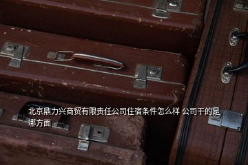 北京鼎力興商貿(mào)有限責任公司住宿條件怎么樣 公司干的是哪方面
