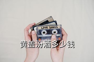 黃蓋汾酒多少錢(qián)