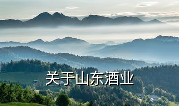 關于山東酒業(yè)