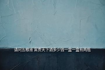 請問五糧液 富貴天下酒多少錢一盒一盒有兩瓶