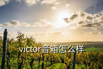 victor音箱怎么樣