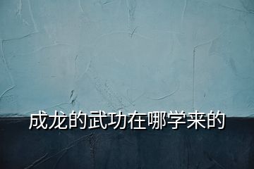 成龍的武功在哪學(xué)來的