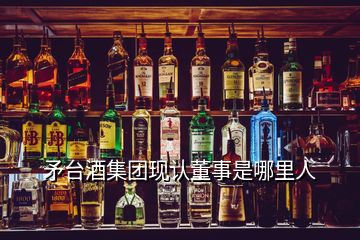 矛臺(tái)酒集團(tuán)現(xiàn)認(rèn)董事是哪里人