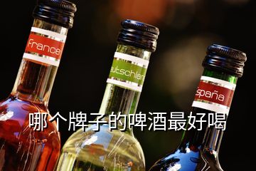 哪個(gè)牌子的啤酒最好喝