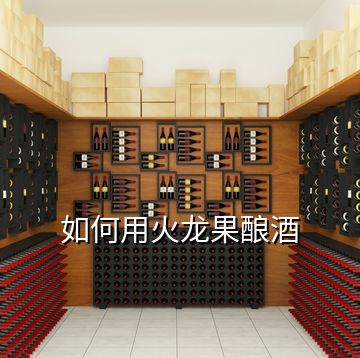 如何用火龍果釀酒