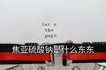 焦亞硫酸鈉是什么東東