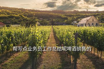 幫寫(xiě)點(diǎn)業(yè)務(wù)員工作總結(jié)呢啤酒銷(xiāo)售的