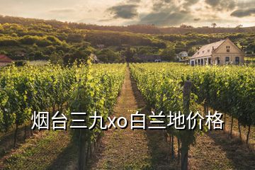 煙臺(tái)三九xo白蘭地價(jià)格