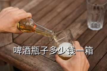 啤酒瓶子多少錢(qián)一箱