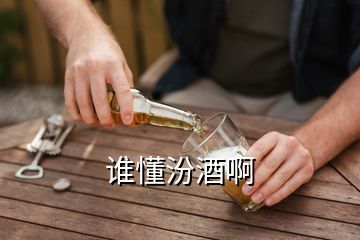 誰(shuí)懂汾酒啊